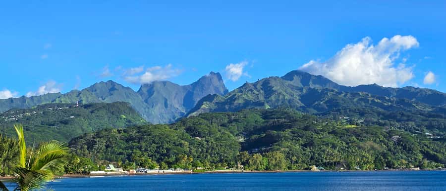 Tahiti Private Half Day Tour. Nature, history and culture - Starting from your hotel, ferry or cruise ship