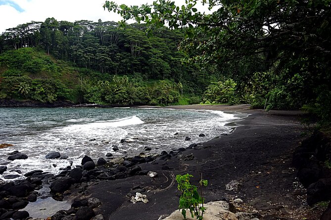 Tahiti: Tour of the East or West Coast (Half Day) - What the vehicle and guide add