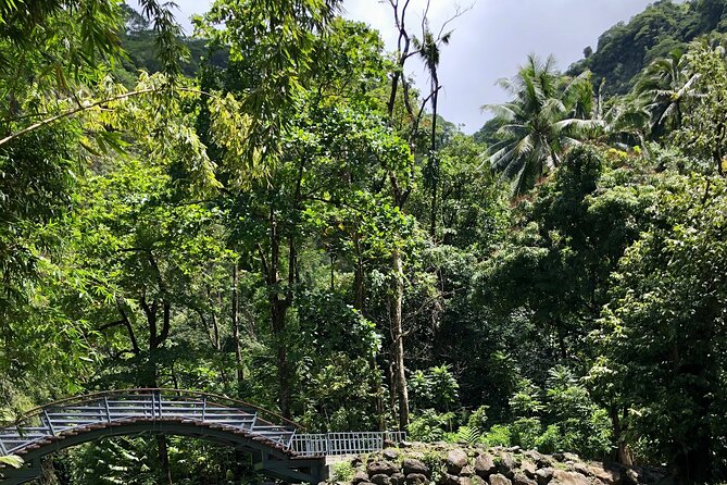Tahiti: Tour of the East or West Coast (Half Day) - Timing, food, and swimming