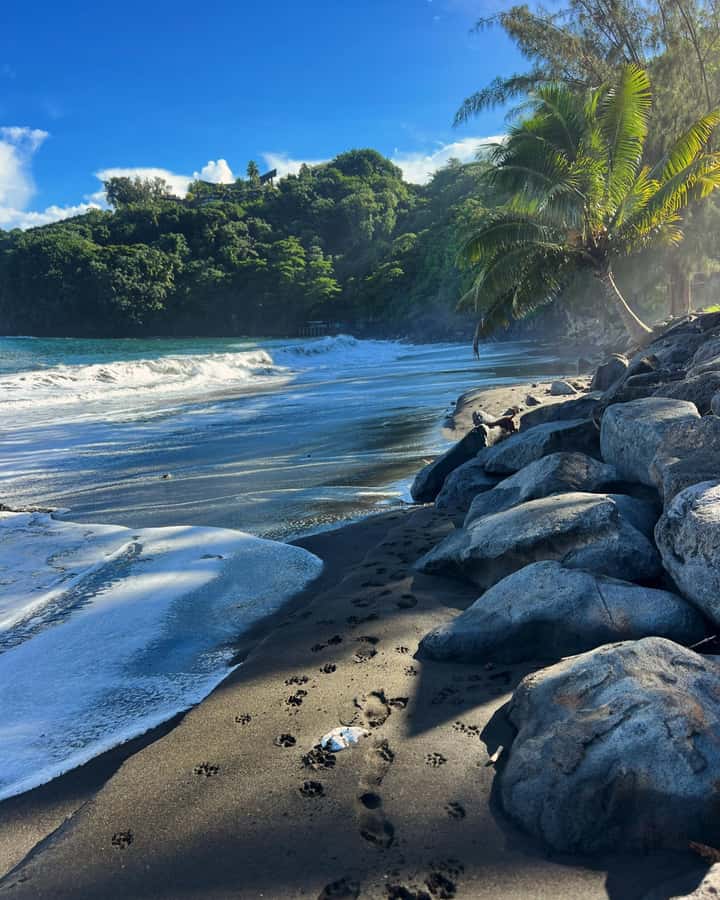 Tahiti: Unique East Coast Half Day Tour with Local Guide - Why this tour works for a first look at Tahiti