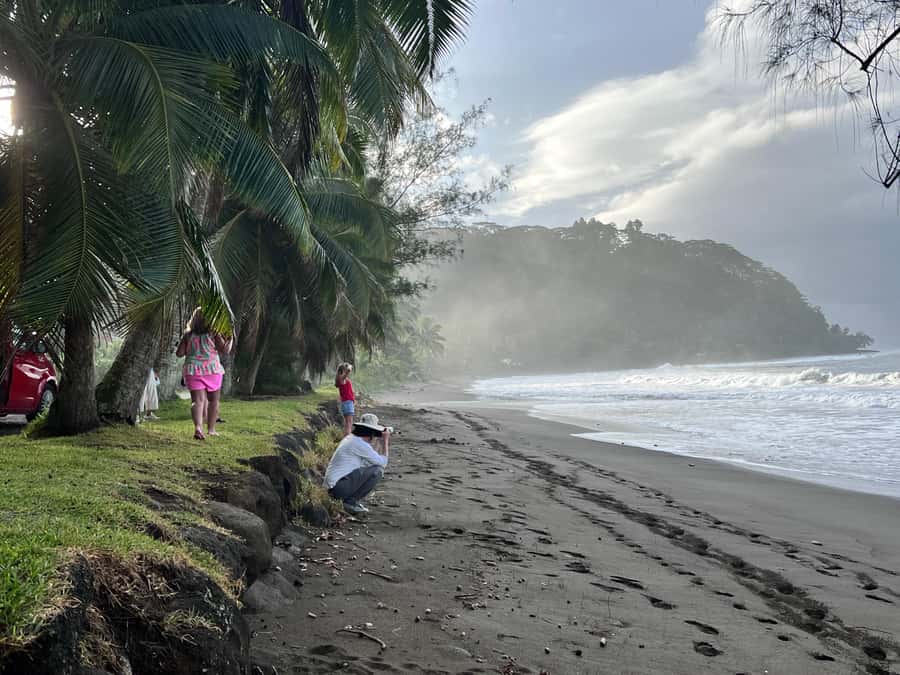 Tahiti: Unique East Coast Half Day Tour with Local Guide - Tahara Viewpoint gives you the postcard view