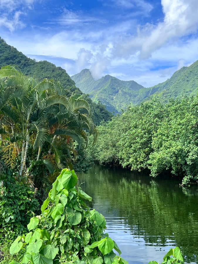 Tahiti: Unique Full Day West Coast, Combo Tour to Teahupoo - Maraa Grotto and the final stop before Papeete