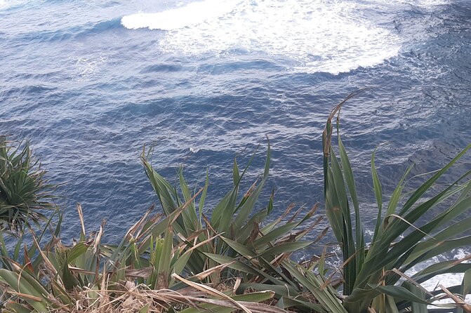 Tanna Island: Full Day Tour Including Mt Yasur Volcano and the Hotspring - The hot springs are more than a quick photo stop