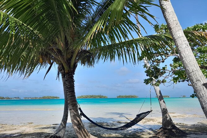 The Blue Lagoon by private boat - Shark snorkeling at 10:30 a.m.