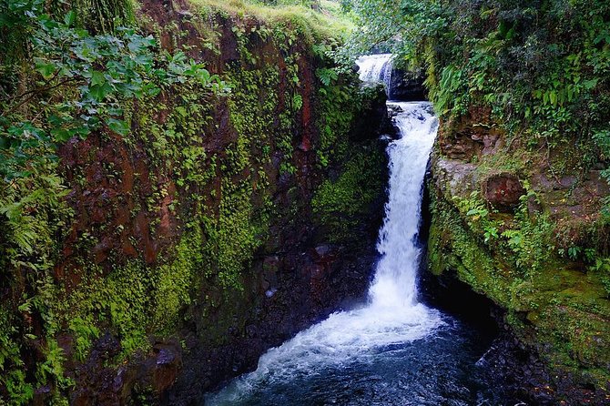 The Pristine Waters of Upolu - Why five kinds of water make one strong day