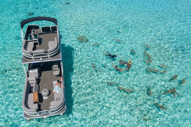Toa Boat Bora Bora Private Lagoon tour On Ambassador Boat - Sharks, Coral Gardens, and Colorful Fish