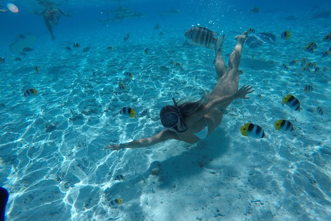Toa Boat Bora Bora Private Lagoon tour On Ambassador Boat - Timing, Booking, and Cancellation