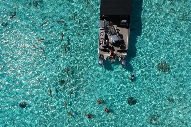 Toa Boat Bora Bora Private Lagoon Tour On Entertainer Bar Boat - A private morning on Bora Bora’s lagoon