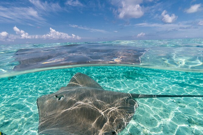 Toa Boat Bora Bora Private Lagoon tour On Majestic Pontoon Boat - The optional three-seat buoy and other ways to relax