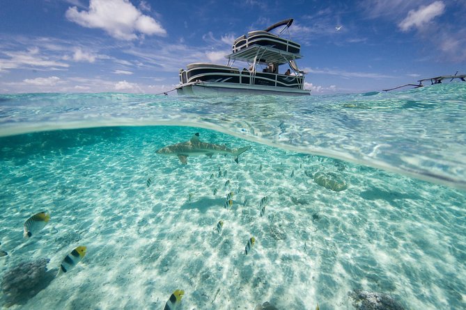 Toa Boat Bora Bora Private Lagoon tour with Lunch on Ambassador Boat - A private morning on Bora Boras lagoon