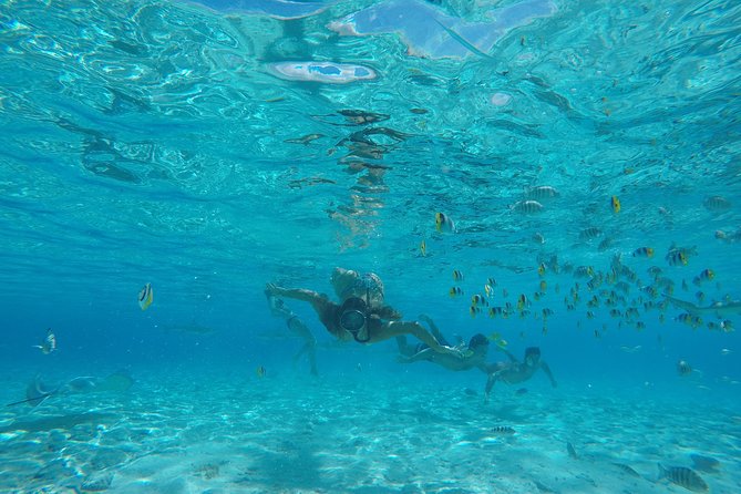 Toa Boat Bora Bora Private Lagoon tour with Lunch on Entertainer Bar Boat - Who will get the most from this outing