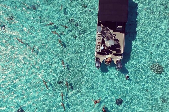 Toa Boat Bora Bora Private Lagoon tour with Lunch on Entertainer Bar Boat - Booking details and cancellation