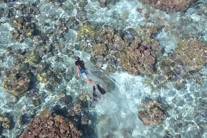 Tohora Bora Bora Snorkeling Lagoon Tours - Whale season and the meaning of Tohora