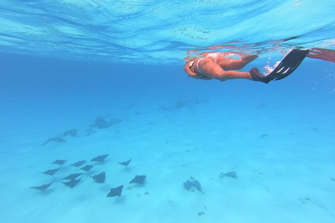 Tohora Bora Bora Snorkeling Lagoon Tours - Guides who make a practical difference