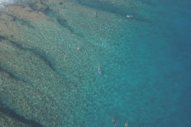 Tohora Bora Bora Snorkeling Lagoon Tours - Small group, pickup, and time on the water