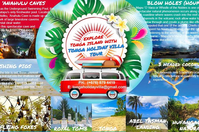 Tonga Holiday V Island Tours - Fixed Prices BEST VALUE - Key points to know before booking