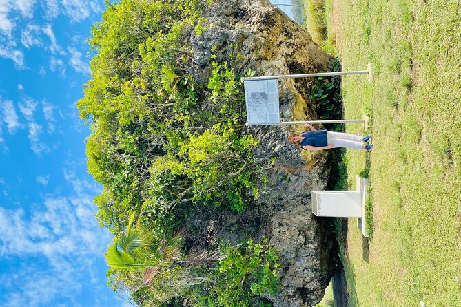 Tongatapu Island Tour - Who will get the most from this $150 tour?