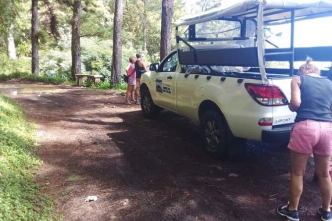TOUR Safari 4X4 - Pickup, timing, and what to bring