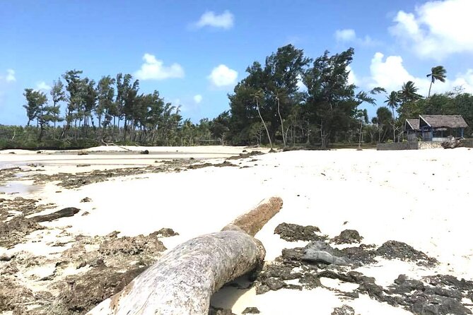 Tropical Splash Tour - Why this Efate route works so well