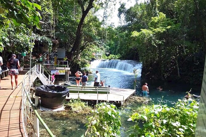Tropical Splash Tour - Local food gives the morning more character
