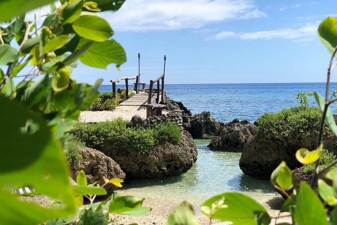 Turtle Encounter with Yumi Tours - Guides make the difference for beginners