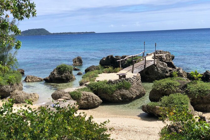 Turtle Encounter with Yumi Tours - What the four-hour schedule means