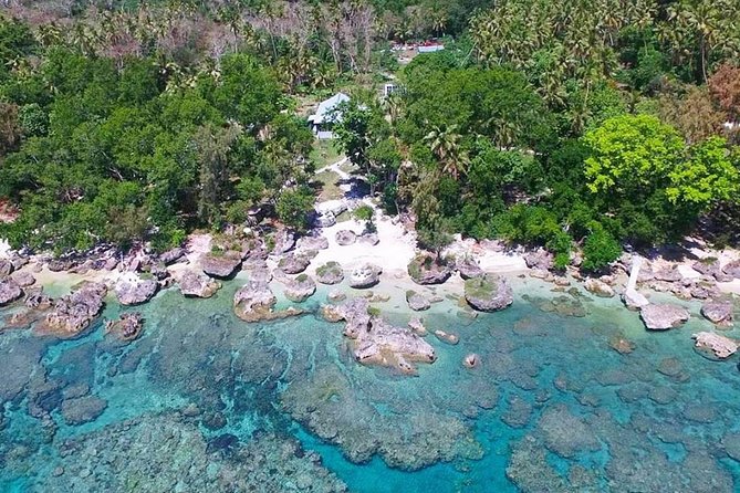 Turtle Encounter with Yumi Tours - Is $90 a fair price?