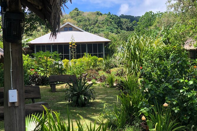 Turtle Encounter with Yumi Tours - Practical considerations at Back to Eden