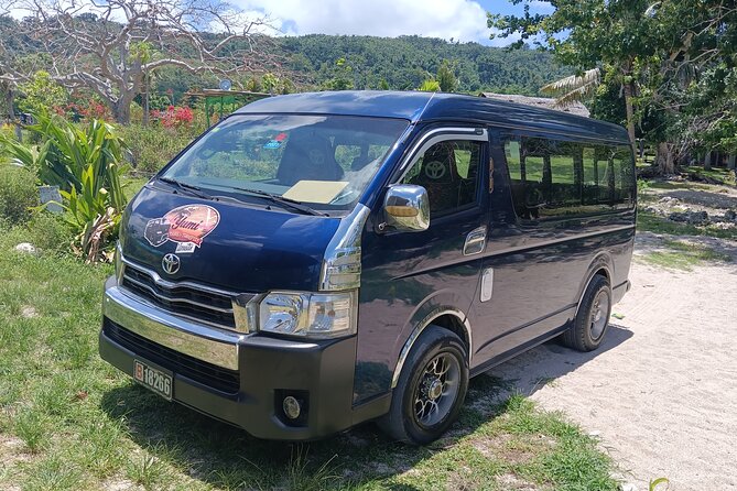 Turtle Encounter with Yumi Tours - Turtles are the bonus, not the whole plan