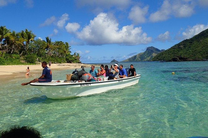 Ultimate Encounter Snorkel with Sharks in Fiji - How Much Time Do You Really Get?