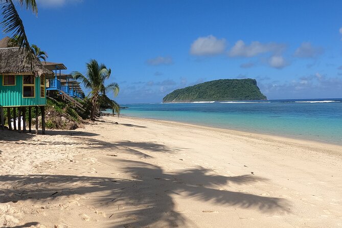 Ultimate Upolu Highlights Tour – Apia Cruise Ship Shore Excursion - Transport, group size, and the feel of the day