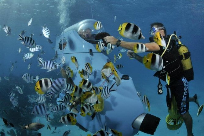 Underwater Scooter - The guide makes the difference