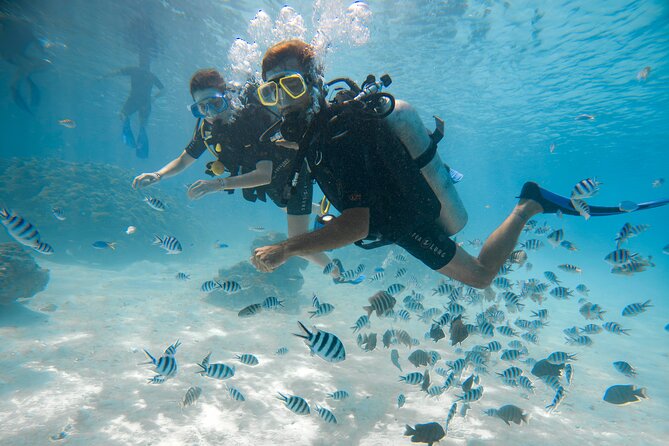Underwater Scooter - Is $493 good value?