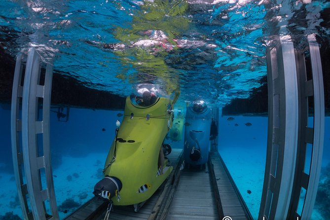 Underwater Scooter - Who will enjoy this most?