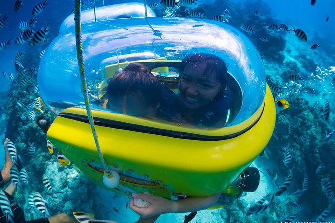 Underwater Scooter - Thirty minutes among the marine life