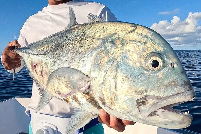 Unique in Raiatea: discover the lagoon, fish, cook, enjoy! - What the $340 price really covers