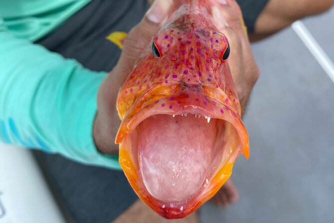 Unique in Raiatea: discover the lagoon, fish, cook, enjoy! - Timing, meeting point, and what to bring