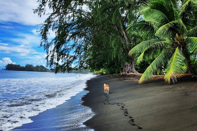 Unique Tahiti Tour - personalised, small group east coast tour - Meeting local artists on a weekday
