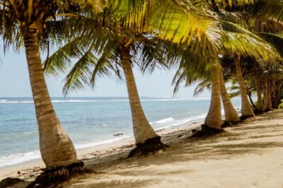 Private Tour – Beach, Waterfall & Ocean Trench