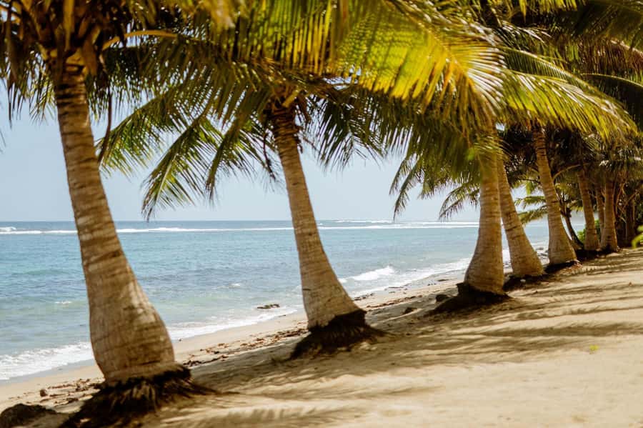 Upolu: Private Tour - Beach, Waterfall & Ocean Trench - Piula Cave Pool brings a cool start