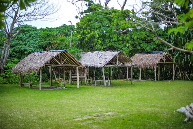 Vanuatu Cultural Village, Waterfalls, Turtles and Blue Lagoon - The optional duty-free stop