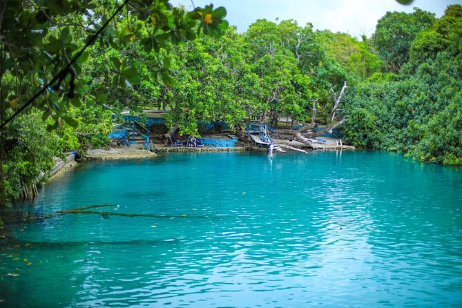 Vanuatu Cultural Village, Waterfalls, Turtles and Blue Lagoon - Pace, guide service, and practical planning