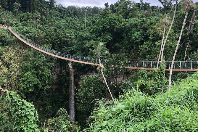 Vanuatu Jungle Zipline, Swing and Skybridge Combo with Transfer - Views of rainforest and reef
