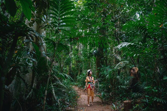 Vanuatu Skybridge with Transfers - Rainforest, Waterfall, and Coastal Views
