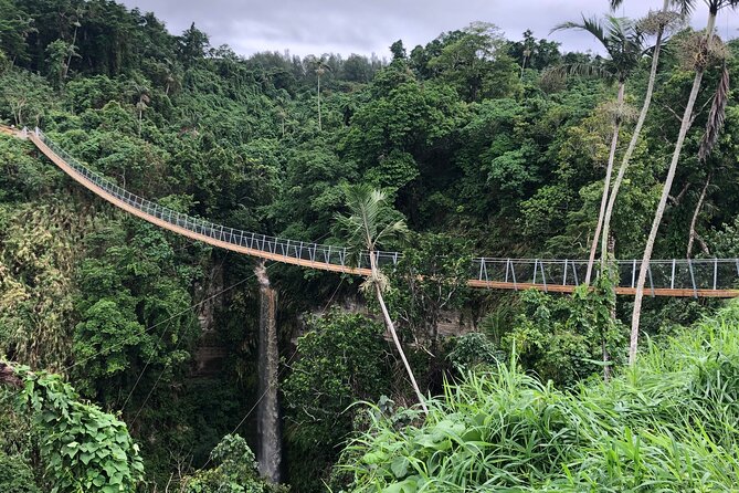 Vanuatu Skybridge with Transfers - A Good Fit for Families and Mixed Groups