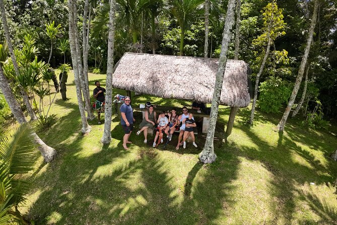 Vanuatu Skybridge with Transfers - Is the $43.03 Price Good Value?