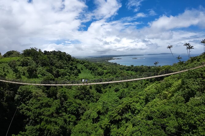 Vanuatu Skybridge with Transfers - What the Strongest Feedback Highlights