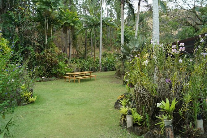 Vuda Lookout, Vesisei Village, Market, Temple & Garden of Sleeping Giant Tour - Viseisei Village and the story of Fiji’s first arrivals
