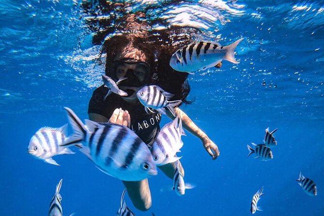 Want to escape? Treat yourself to a snorkeling session in Tahiti! - Four hours along Tahiti’s west coast