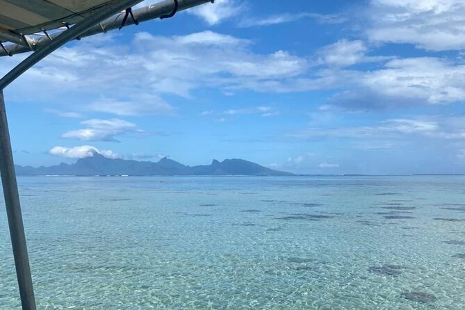Want to escape? Treat yourself to a snorkeling session in Tahiti! - What the $120 price really covers